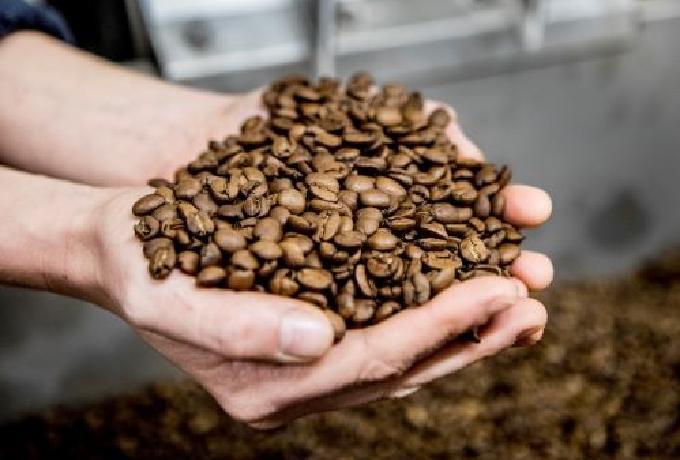 Lekkere, duurzame koffie Handvol duurzame koffie van Ray & Jules