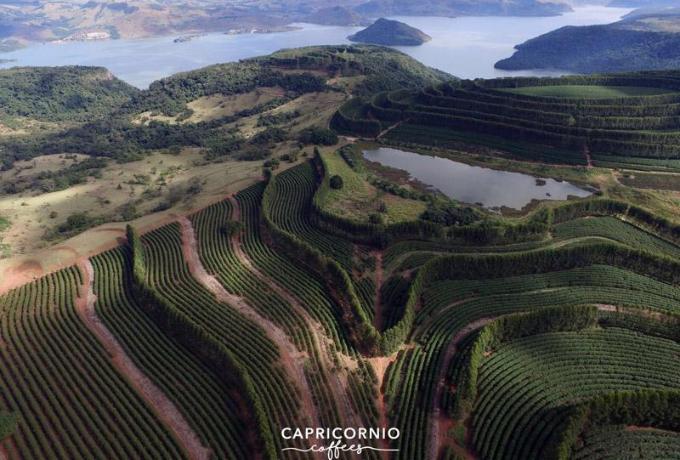 luchtbeeld van koffieplantage Brazilië