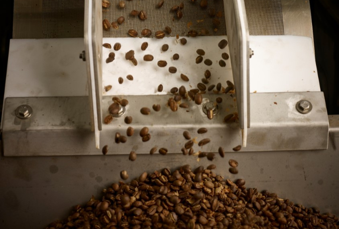 des grains de café durables, torréfiés au soleil